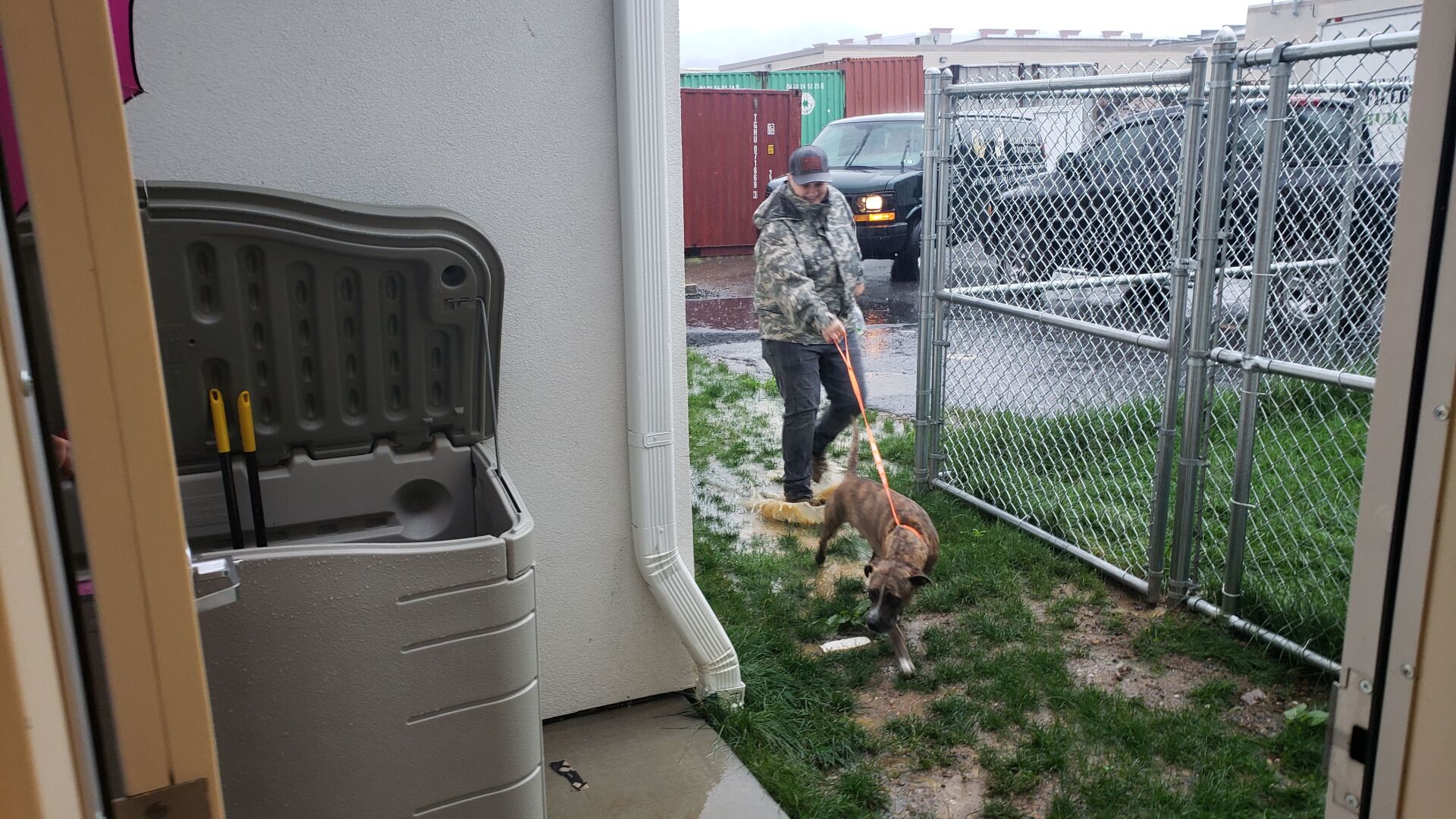 Hurricane Ida animals flown from Louisiana to Berks